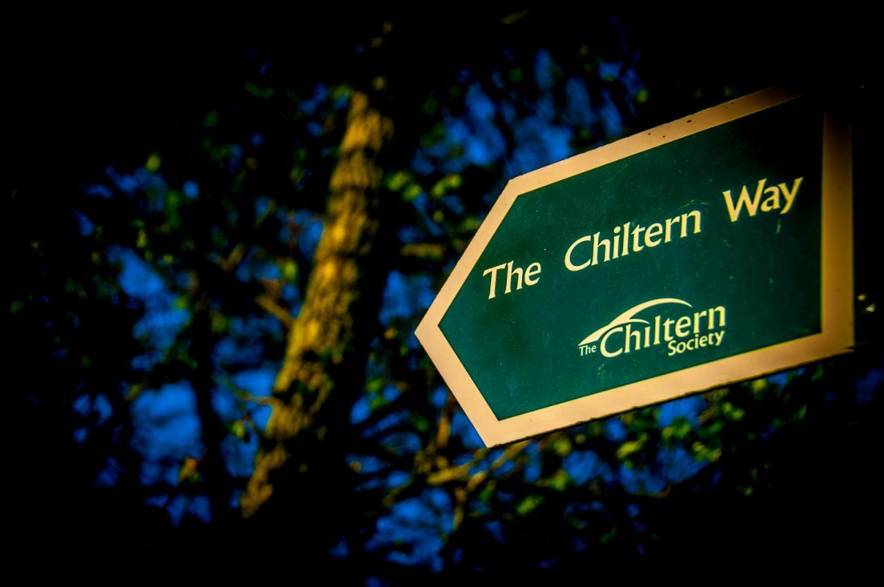 The Chilterns Fox *